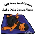 Cover: Eight Paws One Adventure - Grosvenor House Publishing Ltd