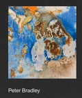 Cover: Peter Bradley - Karma