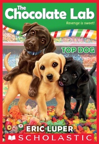 Enlarge image Cover: Top Dog - Scholastic Inc.