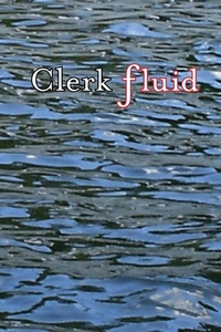 Enlarge image Cover: Clerk Fluid - Lulu.com