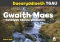 Cover: Daearyddiaeth TGAU: Gwaith Maes - Datblygu Sgiliau Ymchwilio - Atebol