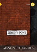 Cover: Cyfres Amdani: Stryd y Bont - Atebol