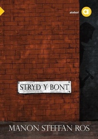 Abbildung von: Cyfres Amdani: Stryd y Bont - Atebol