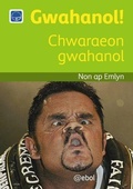 Cover: Cyfres Darllen Difyr: Gwahanol! - Chwaraeon gwahanol - Atebol