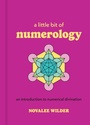 Cover: A Little Bit of Numerology - Union Square & Co.