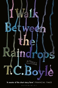 Enlarge image Cover: I Walk Between the Raindrops - Bloomsbury Publishing PLC