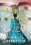 Cover: A Noble Cunning: The Countess and the Tower - History Through Fiction