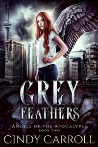 Enlarge image Cover: Grey Feathers (Angels of the Apocalypse, #2) - Hanlon Creek Press