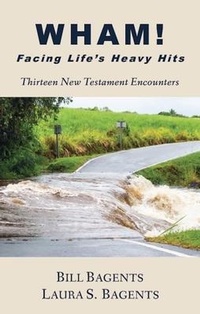 Abbildung von: WHAM! Facing Life's Heavy Hits - Heritage Christian University Press