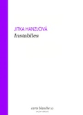 Cover: Instabiles - Salon