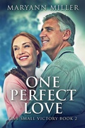 Cover: One Perfect Love - Next Chapter