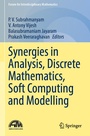 Cover: Synergies in Analysis, Discrete Mathematics, Soft Computing and Modelling - Springer