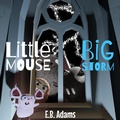 Cover: Little Mouse, Big Storm (Little Mouse, Big Castle) - Little Mouse, Big Castle