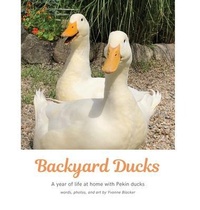 Abbildung von: Backyard Ducks - Yvonne Blacker