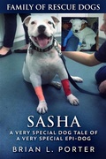 Cover: Sasha - Next Chapter