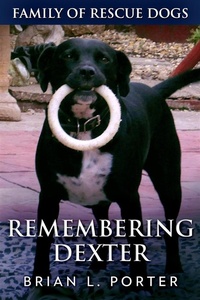 Enlarge image Cover: Remembering Dexter - Next Chapter