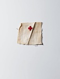 Cover: International Red Cross & Red Crescent Museum - Steidl