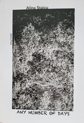 Cover: ANY NUMBER OF DAYS - Kulturinitiative Narrenschyff