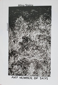 Enlarge image Cover: ANY NUMBER OF DAYS - Kulturinitiative Narrenschyff