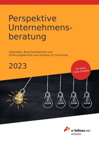 Abbildung von: Perspektive Unternehmensberatung 2023 - e-fellows.net