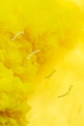 Cover: Breathing Aesthetics - De Gruyter