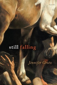 Enlarge image Cover: Still Falling - Graywolf Press,U.S.
