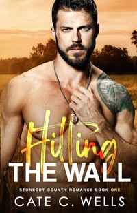 Abbildung von: Hitting the Wall - Ship Street Press, LLC
