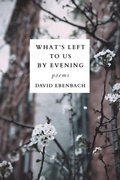 Cover: What's Left to Us by Evening - Orison Books