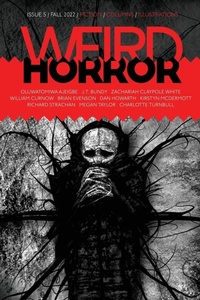 Enlarge image Cover: Weird Horror #5 - Undertow Publications