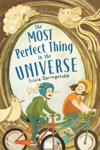Enlarge image Cover: The Most Perfect Thing in the Universe - Holiday House Inc