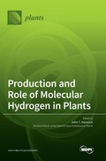 Cover: Production and Role of Molecular Hydrogen in Plants - MDPI AG