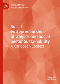 Abbildung von: Social Entrepreneurship Strategies and Social Sector Sustainability - Palgrave Macmillan