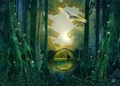 Cover: Anderswald - Lysandra Books Verlag