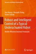 Cover: Robust and Intelligent Control of a Typical Underactuated Robot - Springer