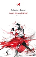 Cover: Non solo amore - Giovane Holden Edizioni
