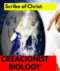 Cover: CREACIONIST BIOLOGY - Bibliomundi