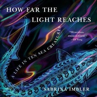 Enlarge image Cover: How Far the Light Reaches - Little Brown and Company