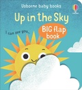 Cover: Up in the Sky - Usborne Publishing Ltd