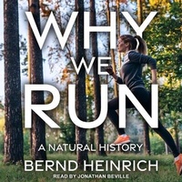 Enlarge image Cover: Why We Run - Tantor Audio