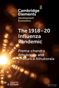 Cover: The 1918-20 Influenza Pandemic - Cambridge University Press