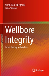 Abbildung von: Wellbore Integrity - Springer