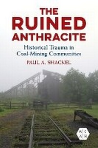 Abbildung von: The Ruined Anthracite - University of Illinois Press