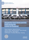 Cover: Dispatches from Home and the Field during the COVID-19 Pandemic - Palgrave Macmillan