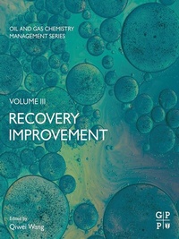 Abbildung von: Recovery Improvement - Gulf Professional Publishing
