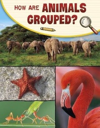 Enlarge image Cover: How Are Animals Grouped? - Raintree