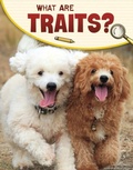 Cover: What Are Traits? - Raintree
