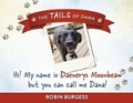 Cover: Hi! My name is Daenerys Moonbeam but you can call me Dana! - Bookbaby