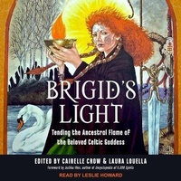 Abbildung von: Brigid's Light - Tantor Audio