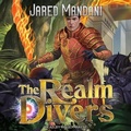 Cover: The Realm Divers - Tantor Audio