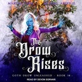 Cover: The Drow Rises - Tantor Audio